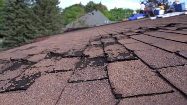 Best Flat Roofing  in La Crescenta Montrose, CA