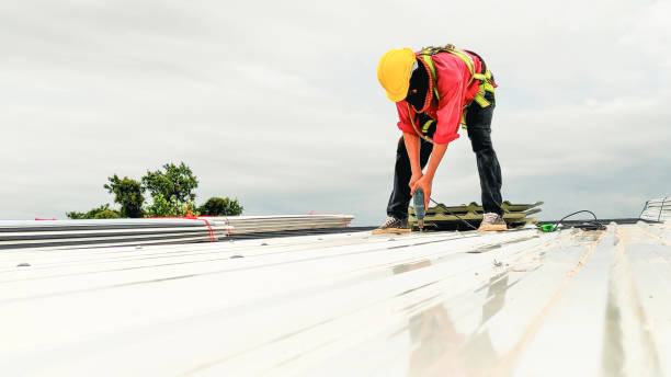 Best Roof Moss and Algae Removal  in La Crescenta Montrose, CA